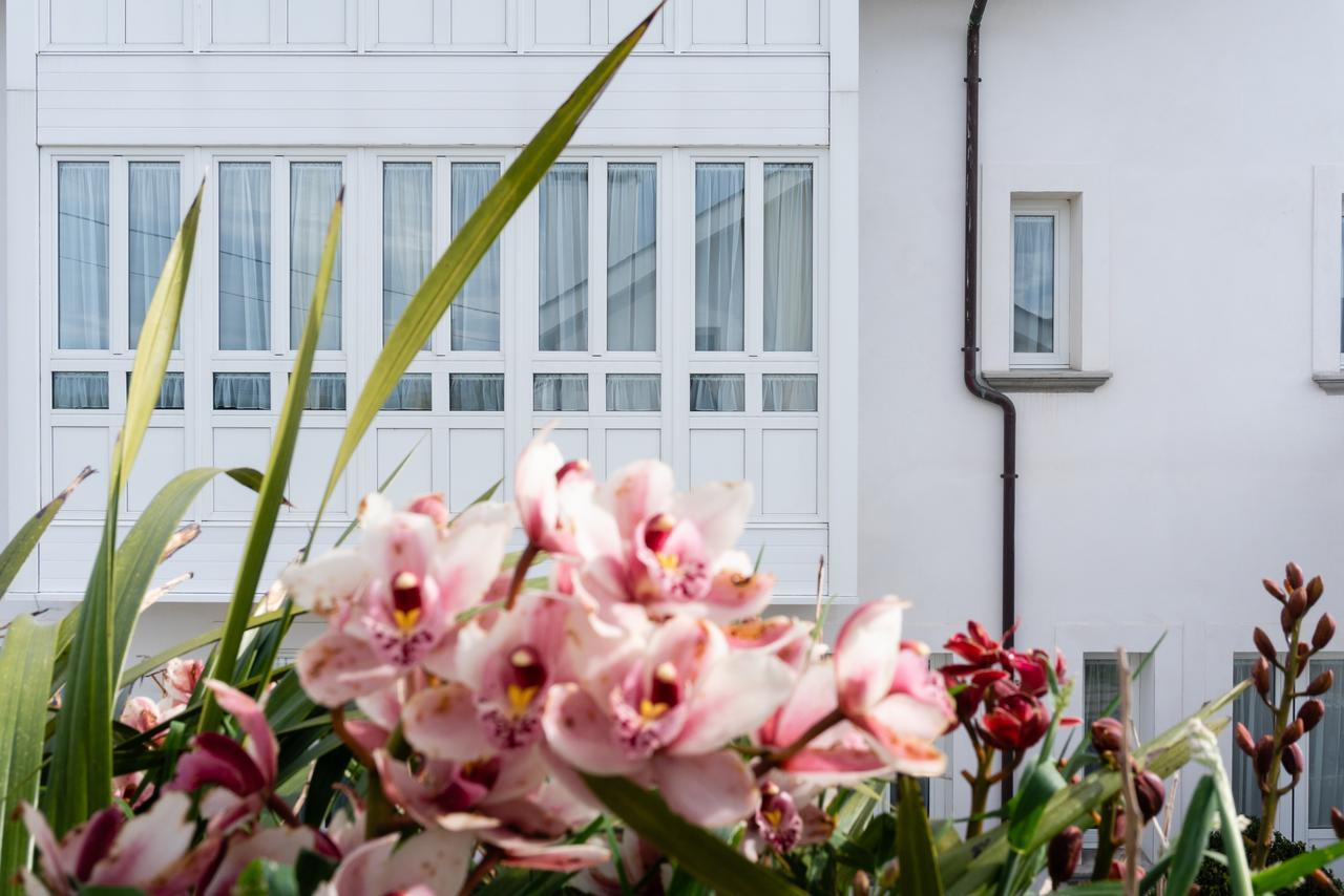 La Casa De Las Camelias Busto Esterno foto